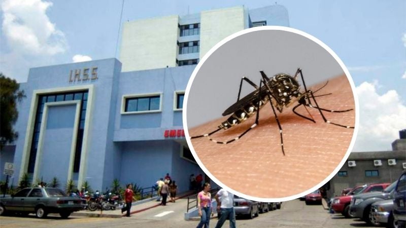 IHSS aumentan casos de dengue