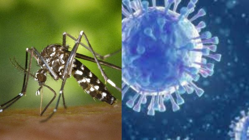 Colapso en Honduras por dengue y covid-19
