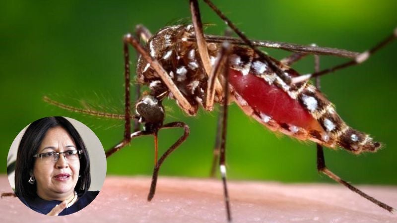 casos de dengue en Honduras