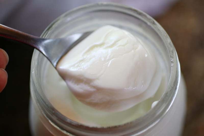 Los microorganismos del yogur contribuyen a regenerar y mantener el equilibrio de la flora bacteriana intestinal.