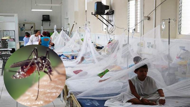 casos de dengue en honduras 2022