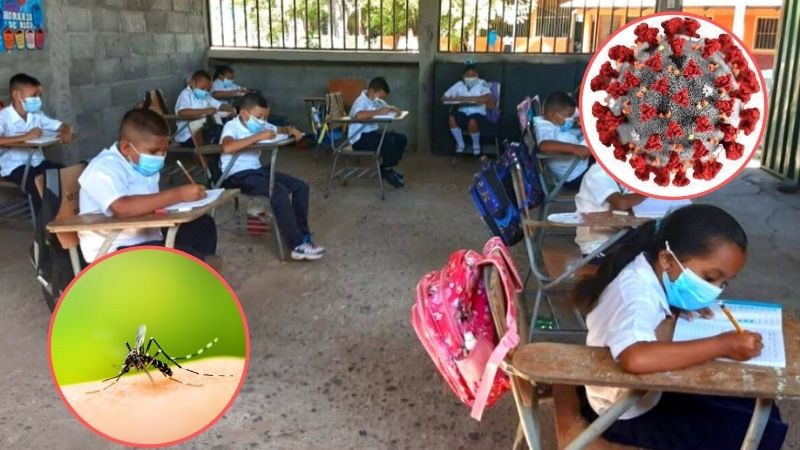 covid y dengue en escuelas de honduras
