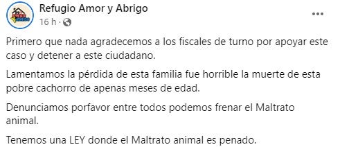 Maltrato animal 