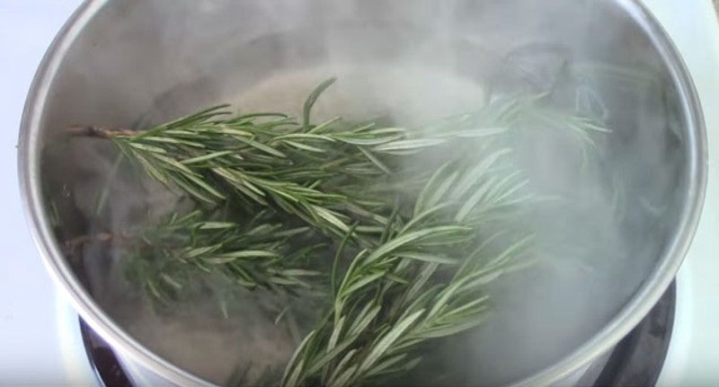 Infusión de Romero