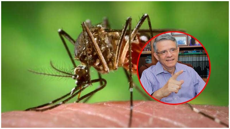 Muertes por dengue en el país este 2022