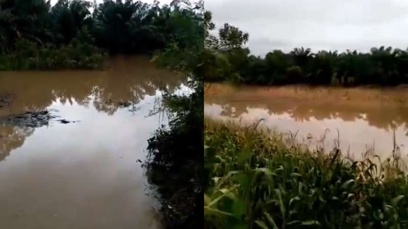 Inundaciones en los Bajos de Choloma