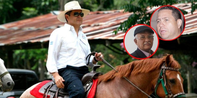Marlon Duarte aseguró que la OABI no tiene la capacidad de mantener los caballos.