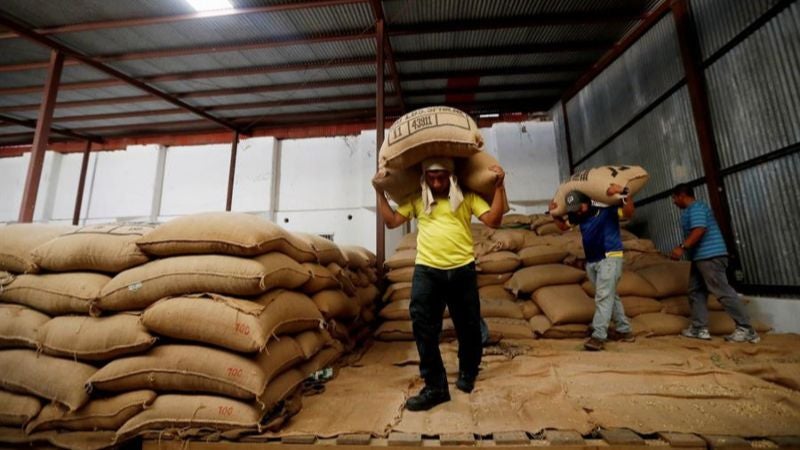 exportaciones de café Honduras