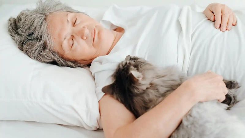 riesgos de dormir con gato