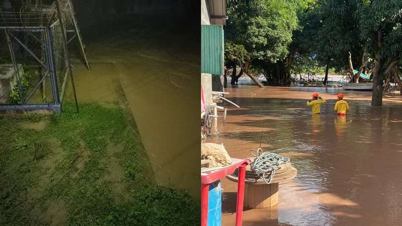 Casas inundadas por río Ulúa hoy viernes