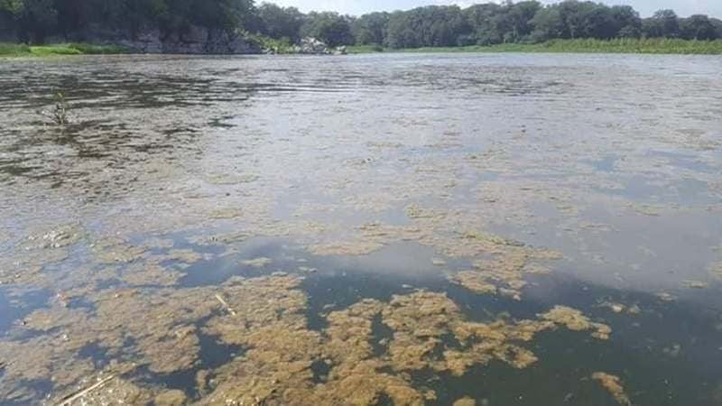 Las autoridades tomarán muestras del agua en el Lago de Yojoa.