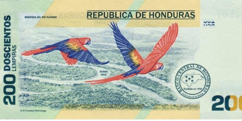 Cuidado! Billetes falsos de L200 estarían circulando en Honduras