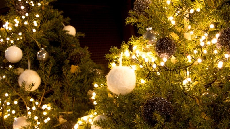 Como colocar luces árbol de Navidad