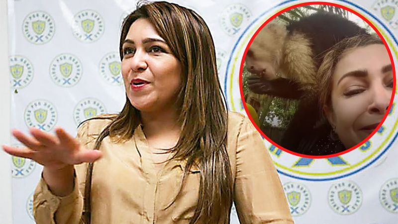 Mono cae sobre Marlene Alvarenga