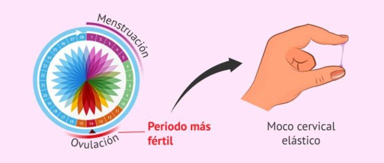 El Método Billings ¿en Qué Consiste Y Cuáles Son Sus Riesgos 2634