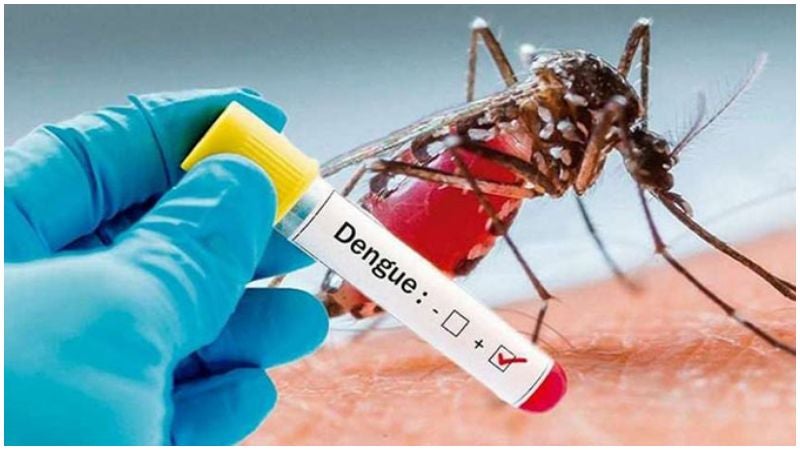 Ingresan cinco menores al Hospital Escuela por dengue