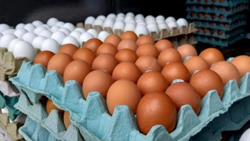 Consumidores escasez de huevos