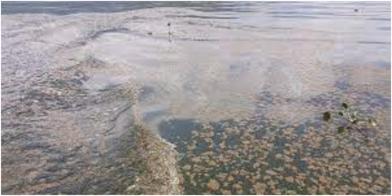 contaminación Lago de Yojoa