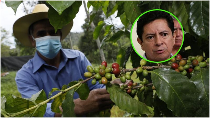 Cafetaleros de Honduras sobre bonos navideños