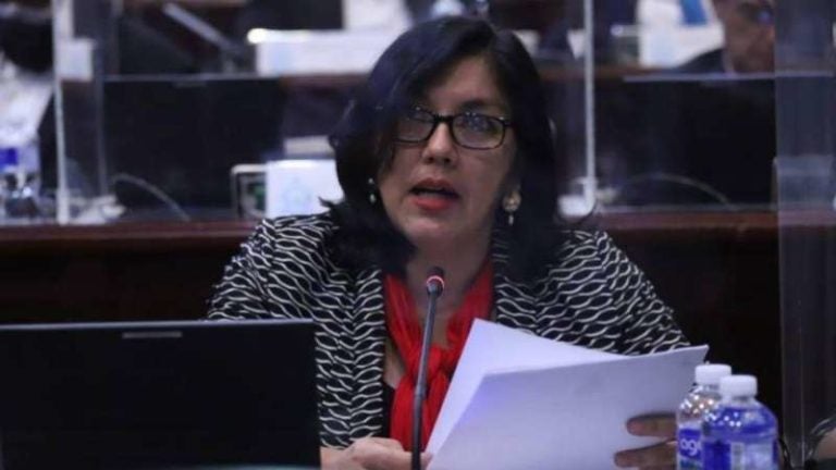 Diputada denuncia por inscripción de bienes