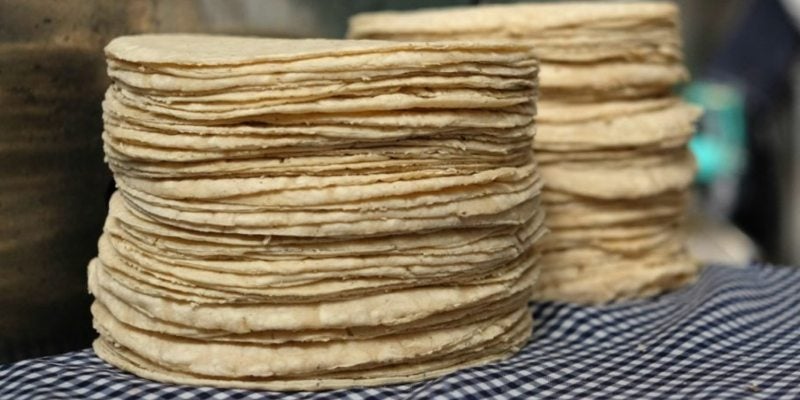 autoridades definirán nuevo precio tortillas