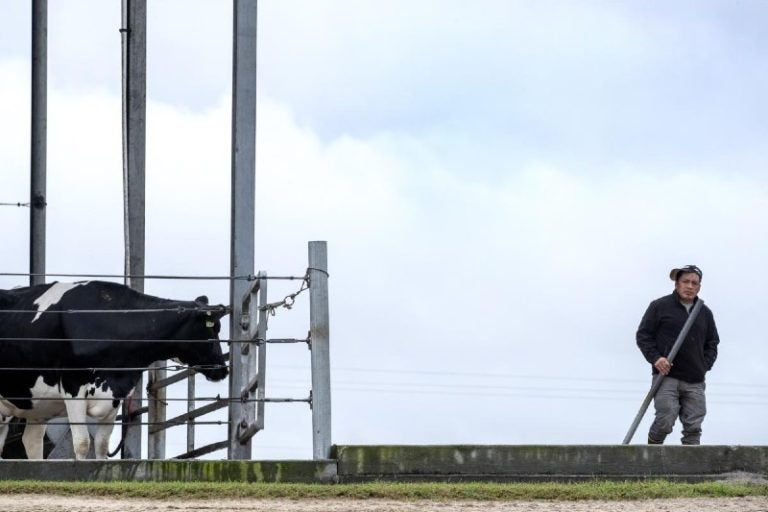 EEUU mano de obra agricultura