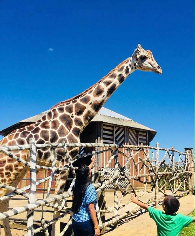 Patricia Silva compartió con Diario TIEMPO su fotografía con Big Boy. "Fue una experiencia increíble, mi primera vez conociendo una jirafa, era muy cariñosa", contó.
