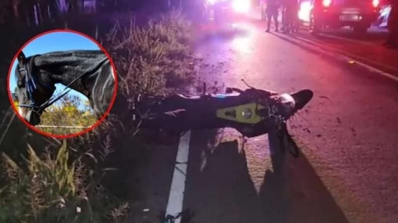 Muere motociclista en Cedros