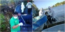 influenza-aviar-1