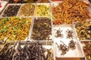 insectyui-2