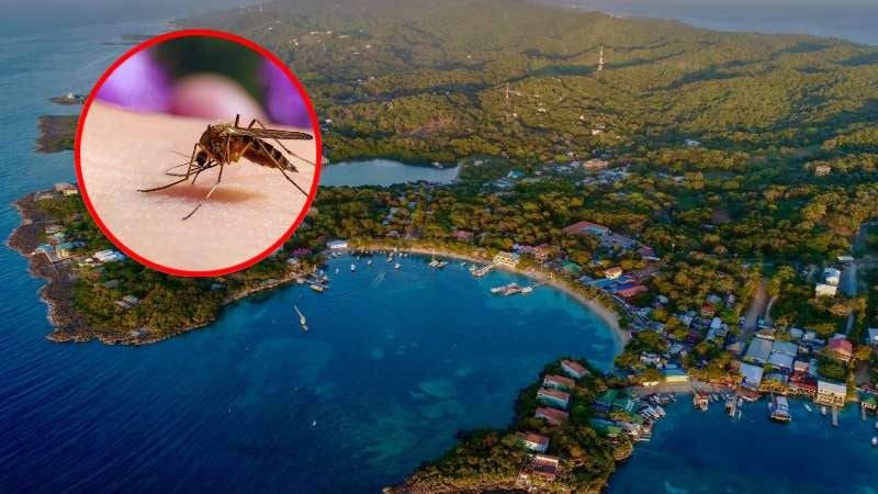Casos de malaria en Islas de la Bahía