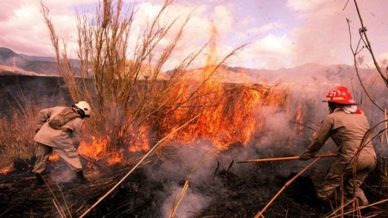 Hasta tres incendios diarios en zacateras atienden bomberos en Comayagua