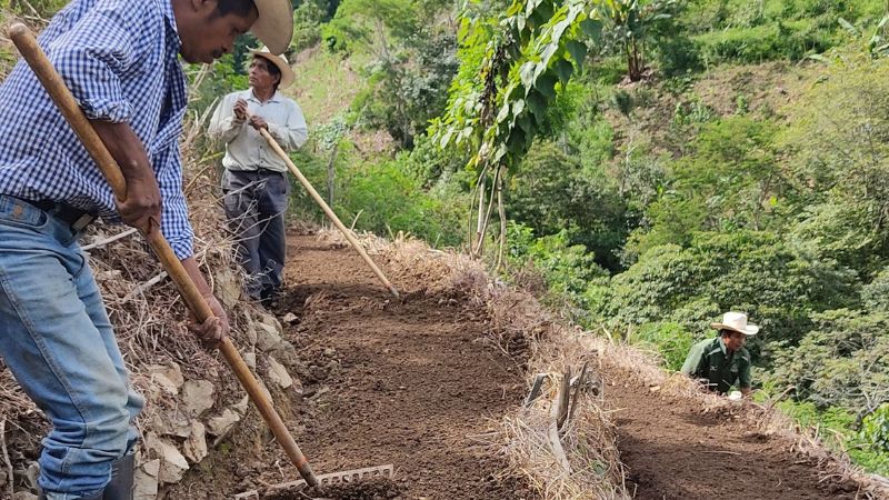 Preparan campesinos sequía Centroamérica