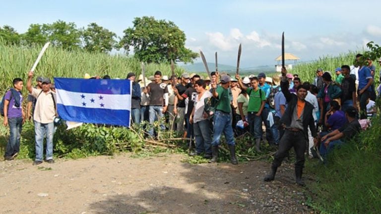 Tenencia de tierras