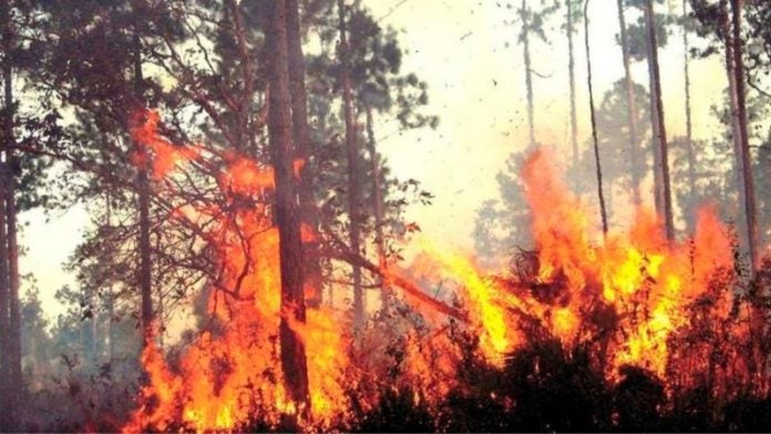 Militares incendios forestales