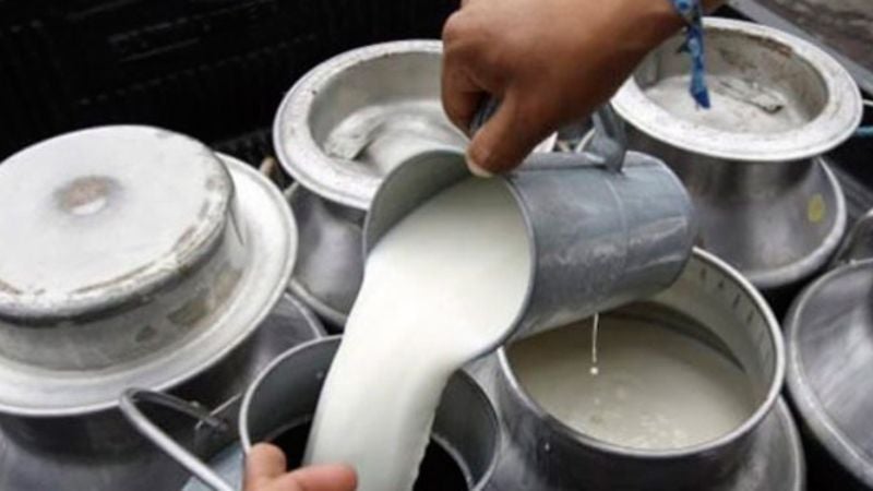 Fenómeno “El Niño” afectará leche