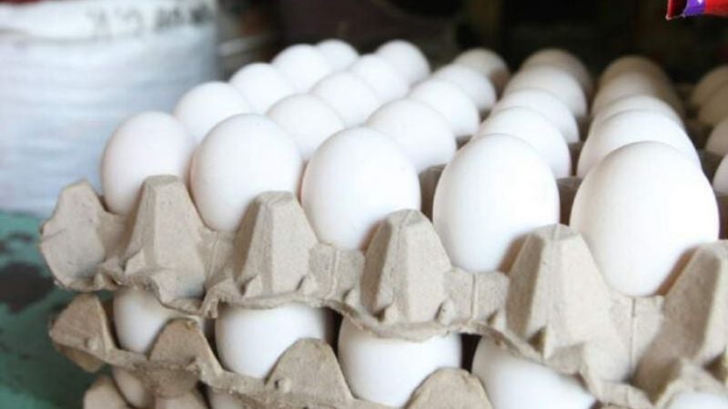 precio de huevos a L135 el cartón