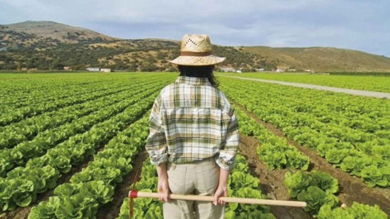 Sector agroalimentario empleos