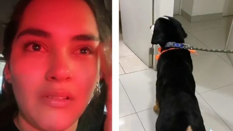 Tiktok Joven llora corte de pelo de su perro