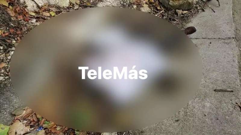 El cuerpo lo encontraron personas que iban transitando por la zona. (Imagen cortesía de TeleMás).