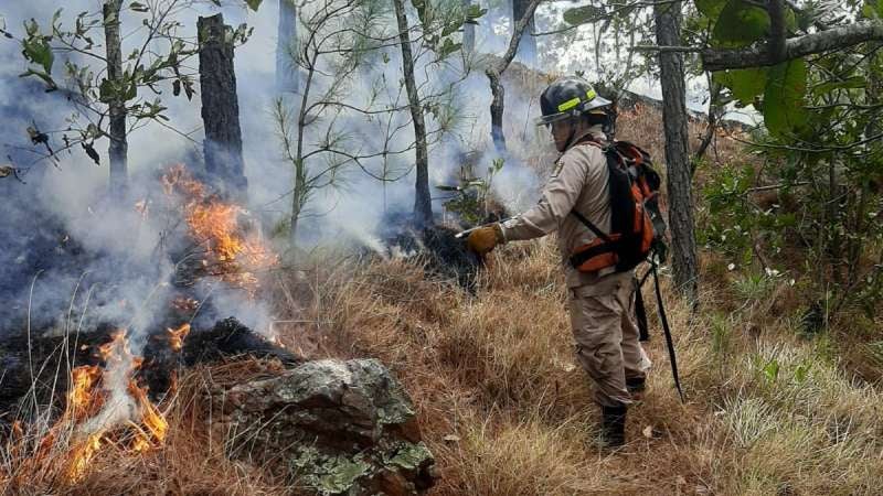 Incendios forestales en SPS