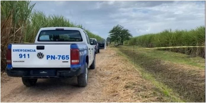 joven muerta en cañeras