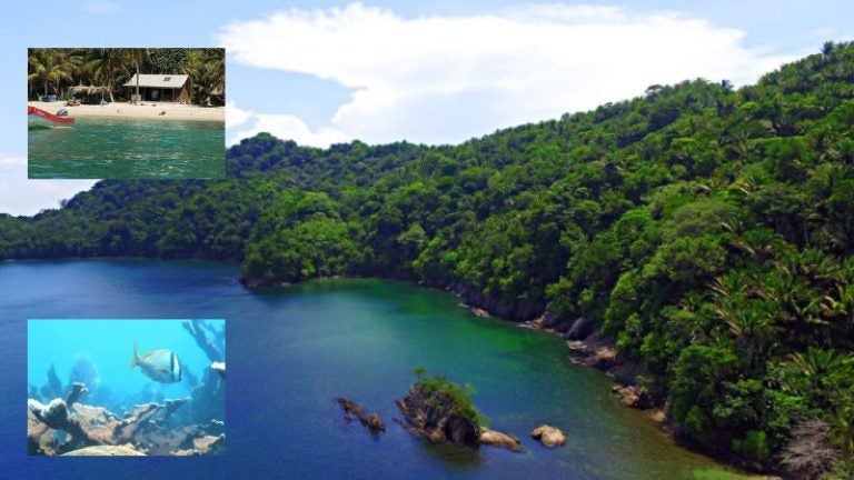 Punta Sal, paraíso de flora y fauna para conocer en Semana Santa