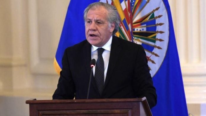 LUIS ALMAGRO