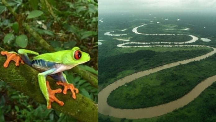 Biósfera del Río Plátano