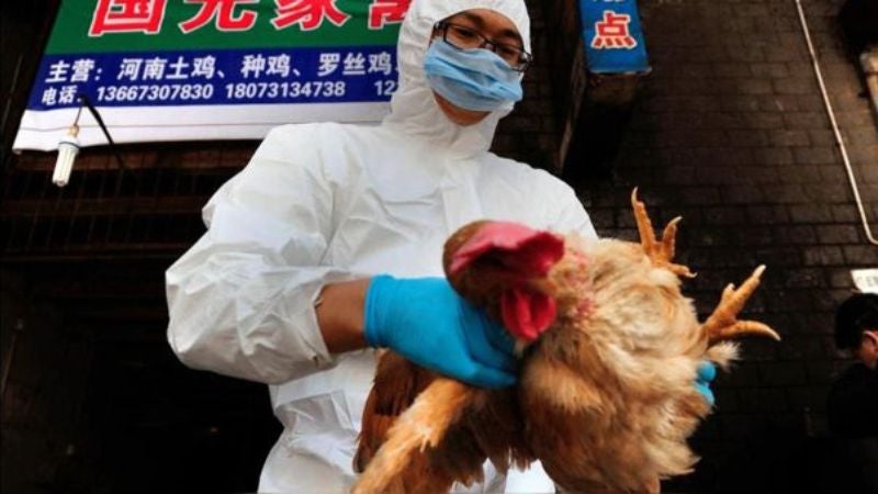 Gripe aviar en mujer de 56 años