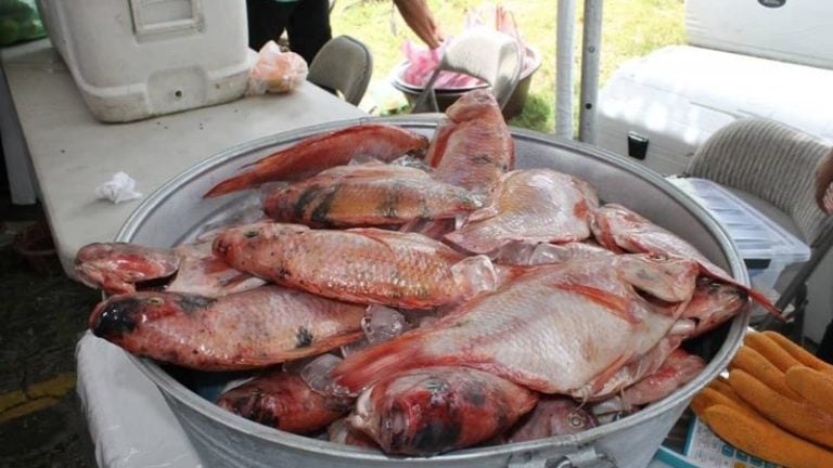 Feria de mariscos de la SAG