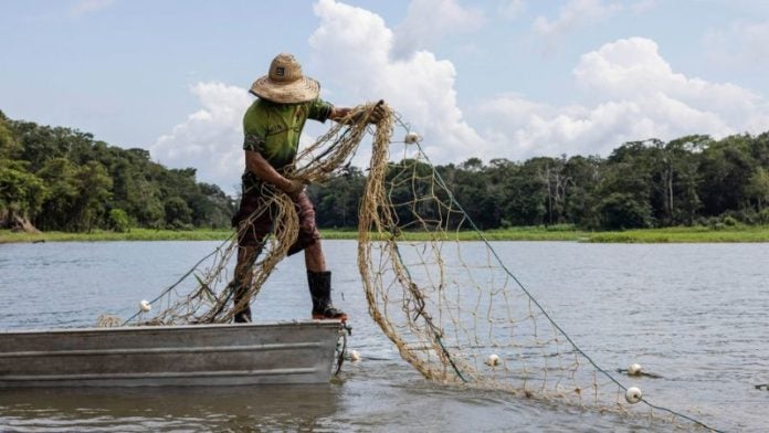 40% del pescado que comemos lo pescan las mujeres, según la FAO