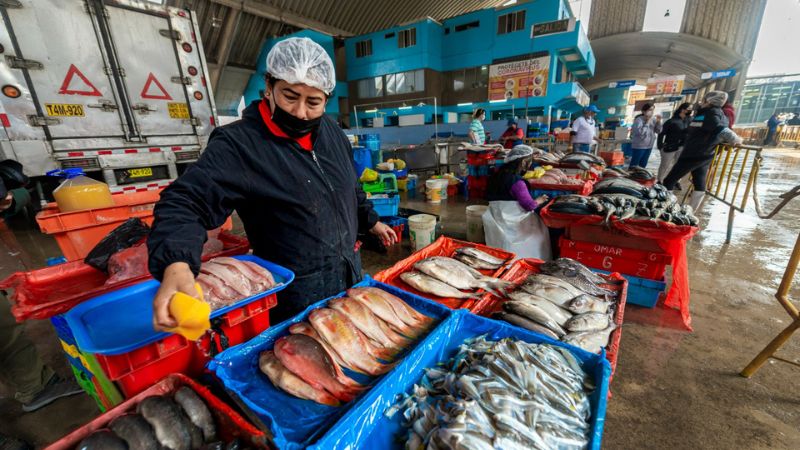40% del pescado que comemos lo pescan las mujeres, según la FAO