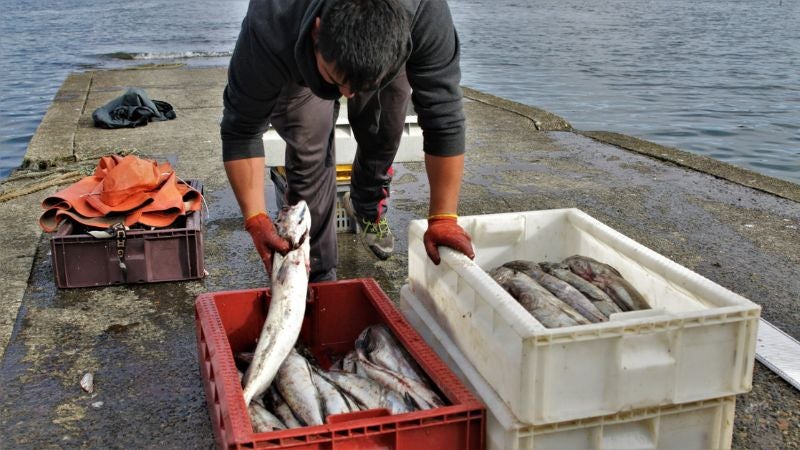 40% del pescado que comemos lo pescan las mujeres, según la FAO